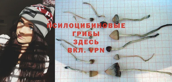 амф Касимов