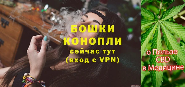 амф Касимов